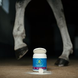 Eclipse Biofarmab Jointbuilder 450 g