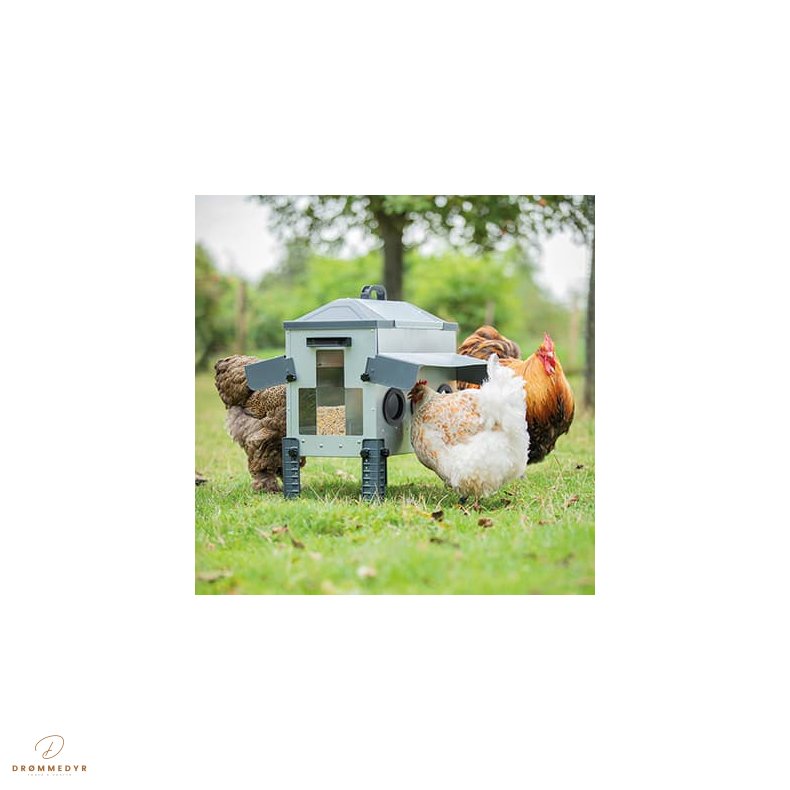 FEEDER ROBUST 12KG 4-HOLE