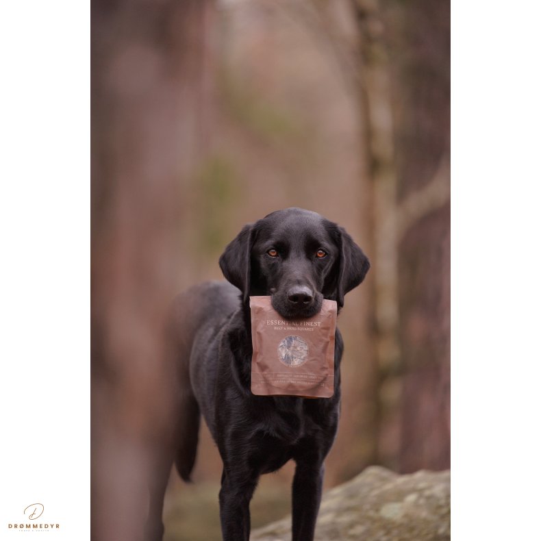 ESSENTIAL FINEST BEEF &amp; HERB SQUARES 125g