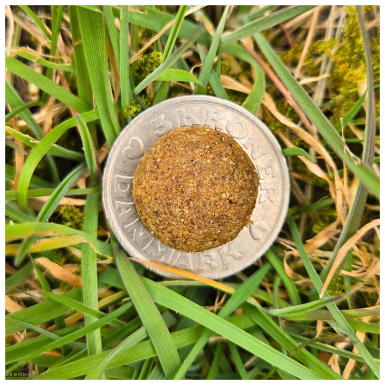 GD Adult Insekter, 10kg