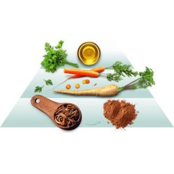 GD Adult Insekter, 10kg