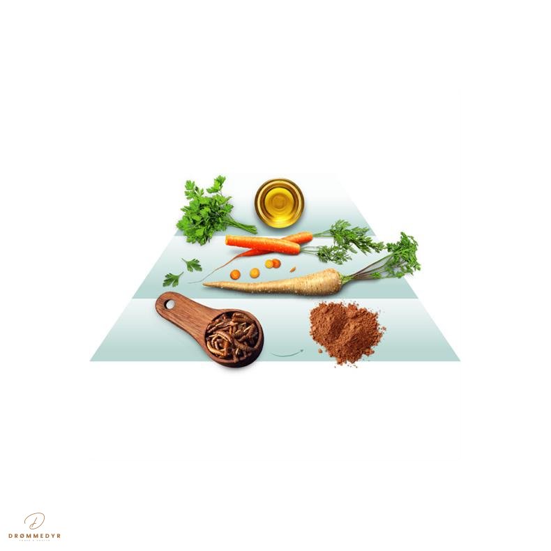 GD Adult Insekter, 10kg