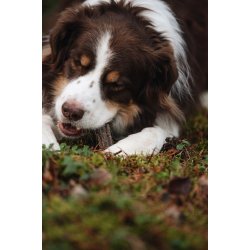 ESSENTIAL GRAIN-FREE BEEF &amp; GAME DENTAL DELIGHTS 200g