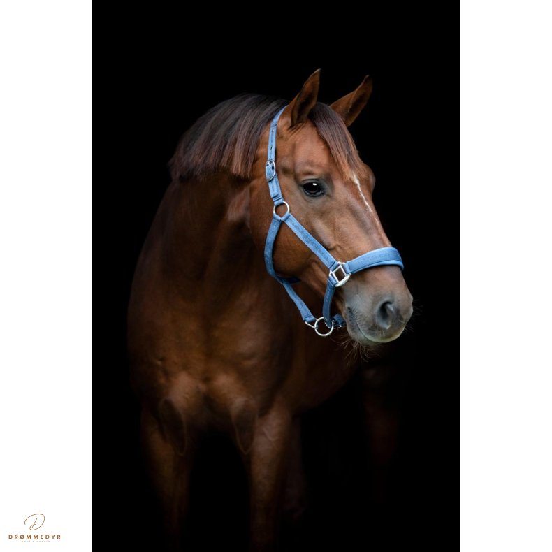 HG Diya 2.0 grime Dutch Blue