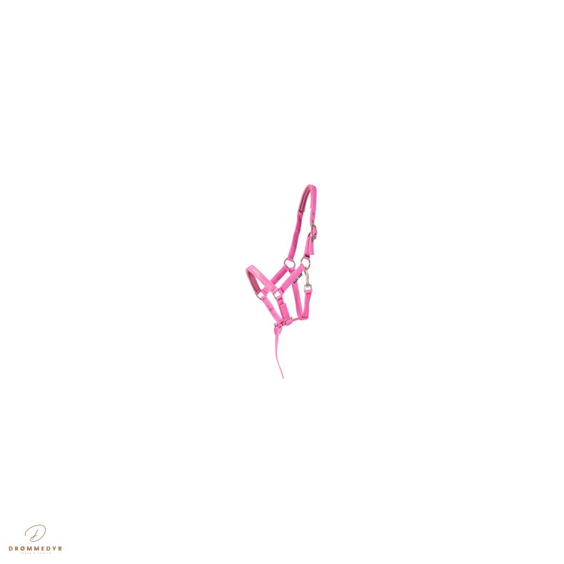 HG Malva flgrime Phlox Pink