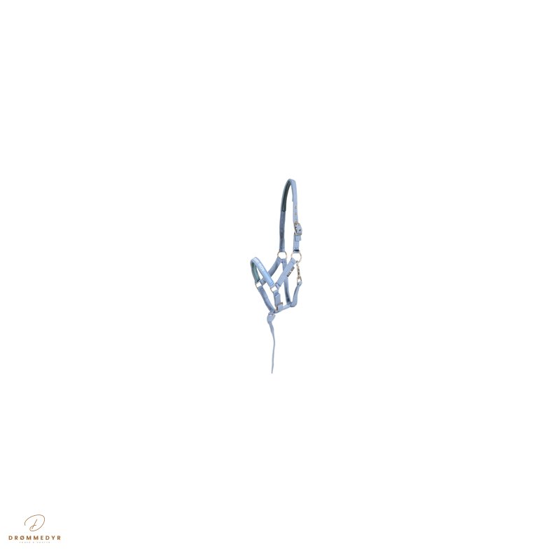 HG Malva flgrime Coronet Blue