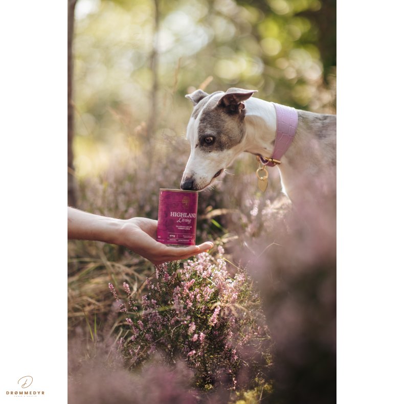 ESSENTIAL HIGHLAND LIVING PT 400G