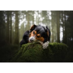 ESSENTIAL ICELAND FISH DELIGHTS 100g