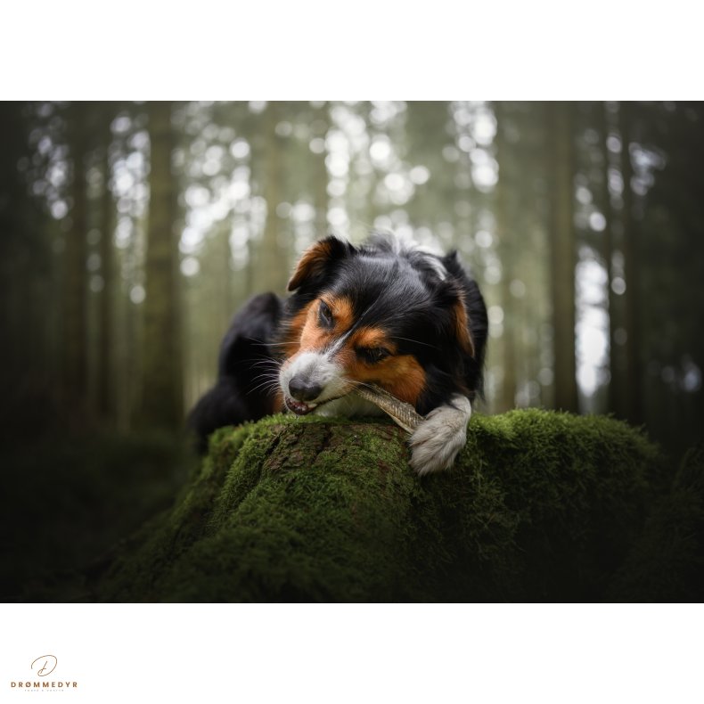 ESSENTIAL ICELAND FISH DELIGHTS 100g