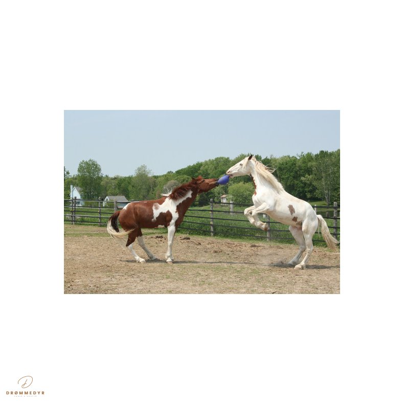 Jolly Ball 20cm Red Horse and Dog