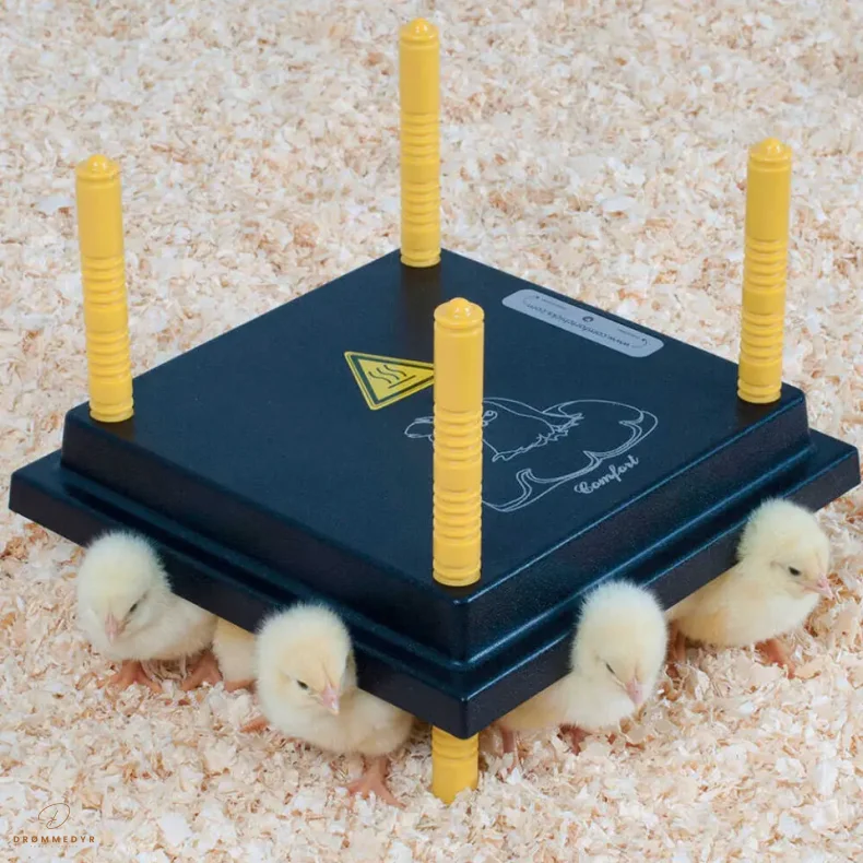 CHICKEN FEEDER OLBA 25x25 CM