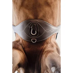 Kentucky Anatomic Stud Gjord Brun 125cm