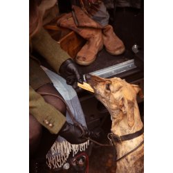 ESSENTIAL GRAIN-FREE CLASSIC DENTAL DELIGHTS 200g