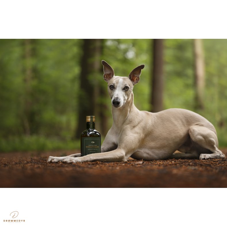 ESSENTIAL the MOBILITY BLEND 500ml