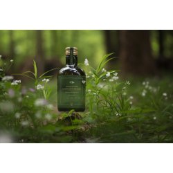 ESSENTIAL the MOBILITY BLEND 500ml