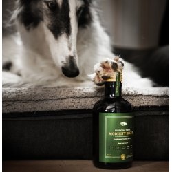 ESSENTIAL the MOBILITY BLEND 1L.