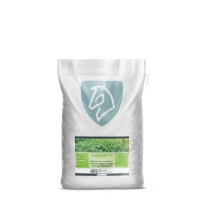Nordic Green Tea - 1.6 kg