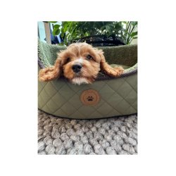 Nordic Paws Jagt Fleece