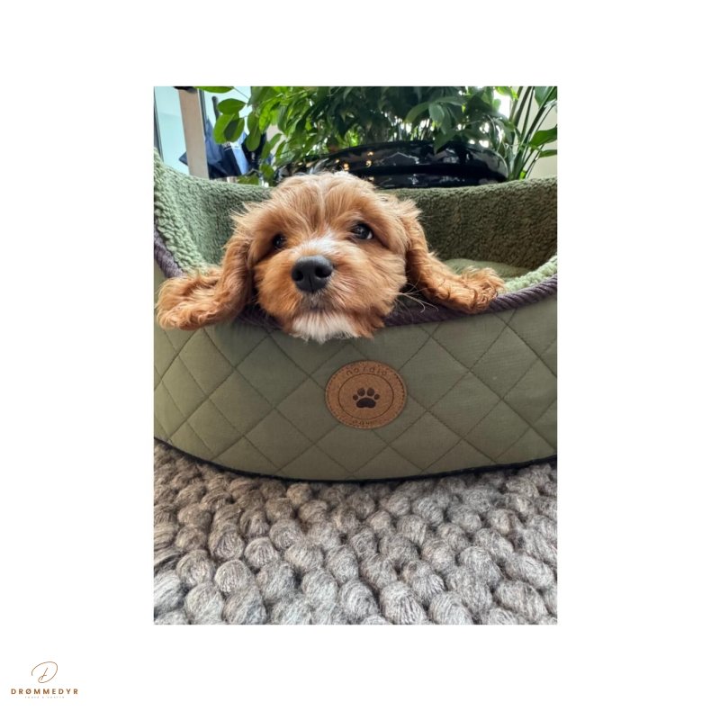 Nordic Paws Jagt Fleece