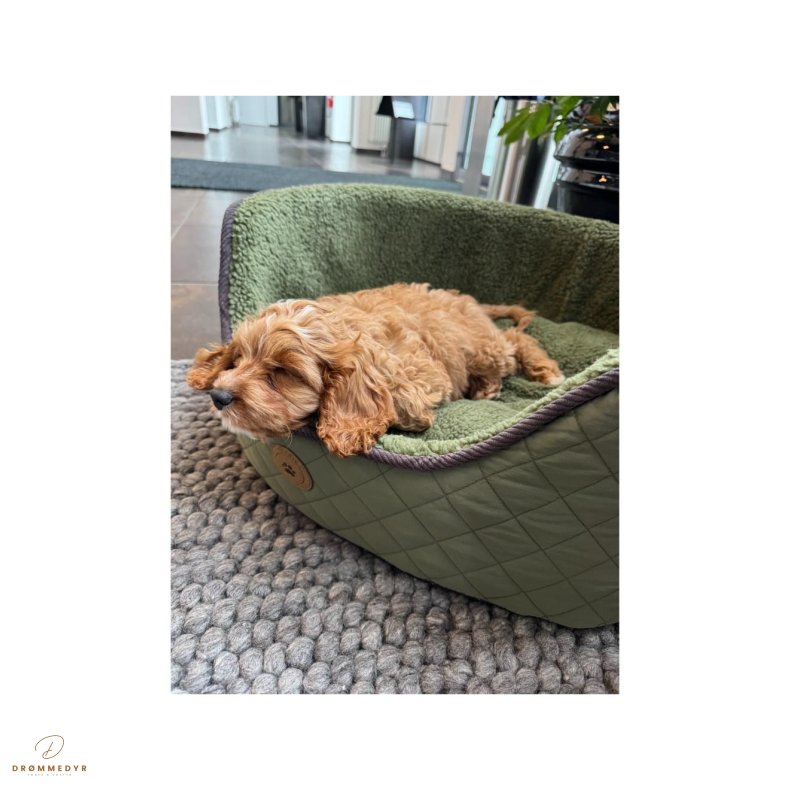 Nordic Paws Jagt Fleece