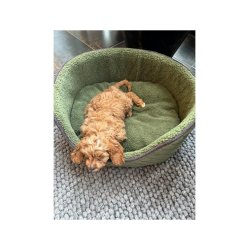 Nordic Paws Jagt Fleece