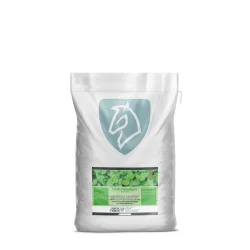 Nordic Pebermynte 1 Kg