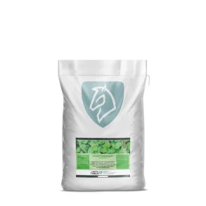 Nordic Pebermynte 1 Kg