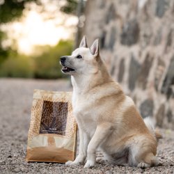 ESSENTIAL OLDER 10KG