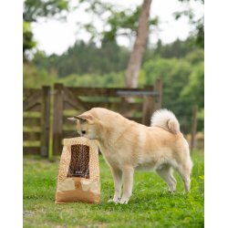 ESSENTIAL OLDER 2,5KG