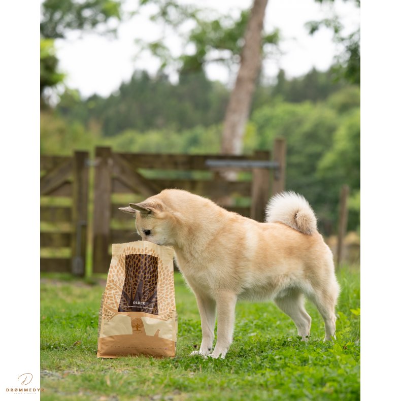 ESSENTIAL OLDER 2,5KG