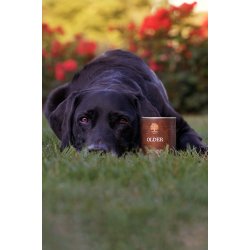 ESSENTIAL OLDER PT 400G