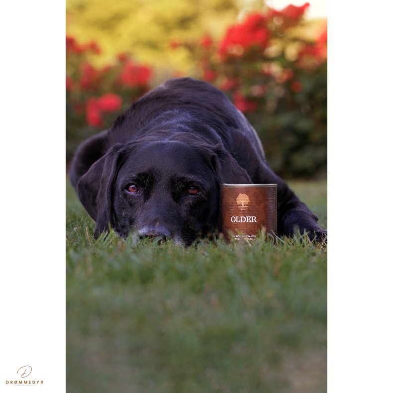 ESSENTIAL OLDER PT 400G