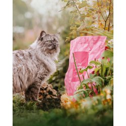 ESSENTIAL the PANTHER 3kg