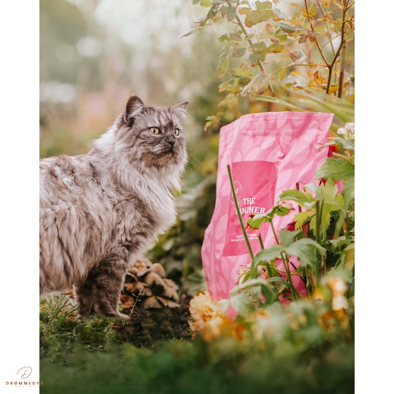 ESSENTIAL the PANTHER 3kg