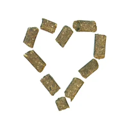 AGROBS Godbid WiesenBussi 1 Kg