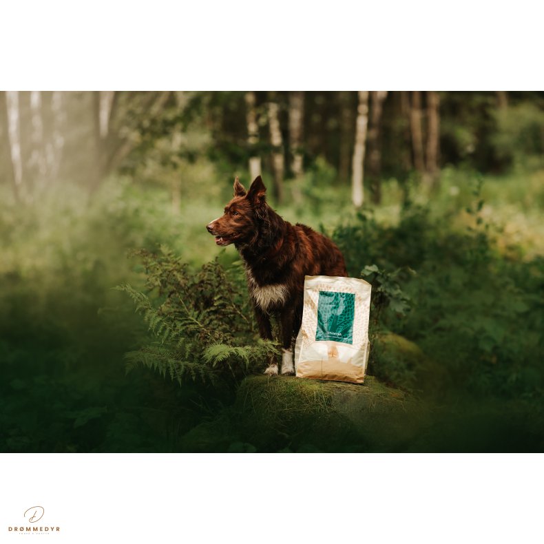 ESSENTIAL STAMINA 10KG