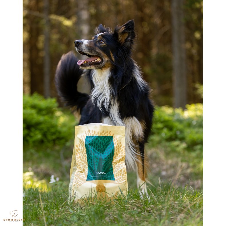 ESSENTIAL STAMINA 2.5KG