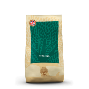 ESSENTIAL STAMINA 10KG