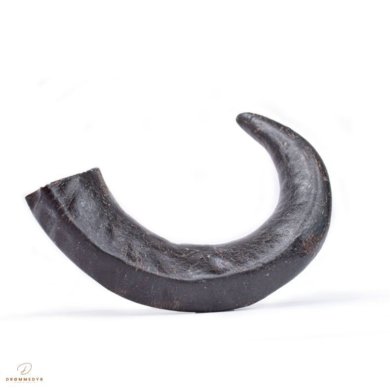 Snack'it Bffelhorn Medium