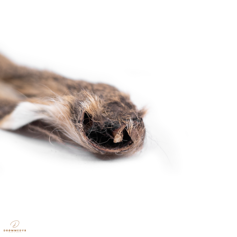 Snack'it Vildkaninrer m. Pels 100g