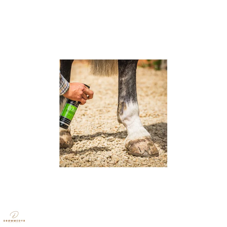 CDM Stainmaster 500 ML