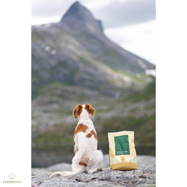 ESSENTIAL SUPERIOR LIVING 10KG