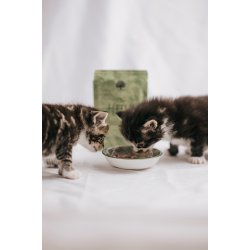 ESSENTIAL the LITTLE LION PT 12x85g