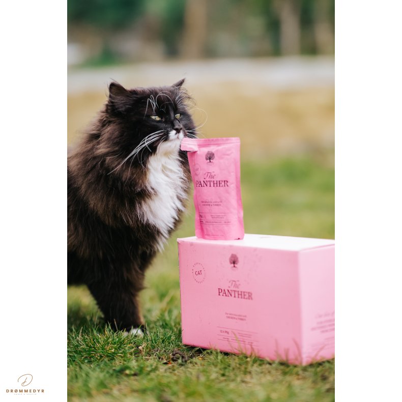 ESSENTIAL the PANTHER PT 12x85g