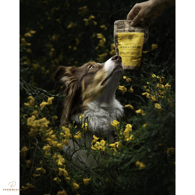 ESSENTIAL FARM &amp; FIELDS TINY CRACKERS