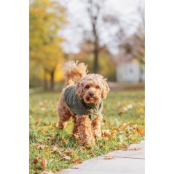 Norwood pullover, olive green.