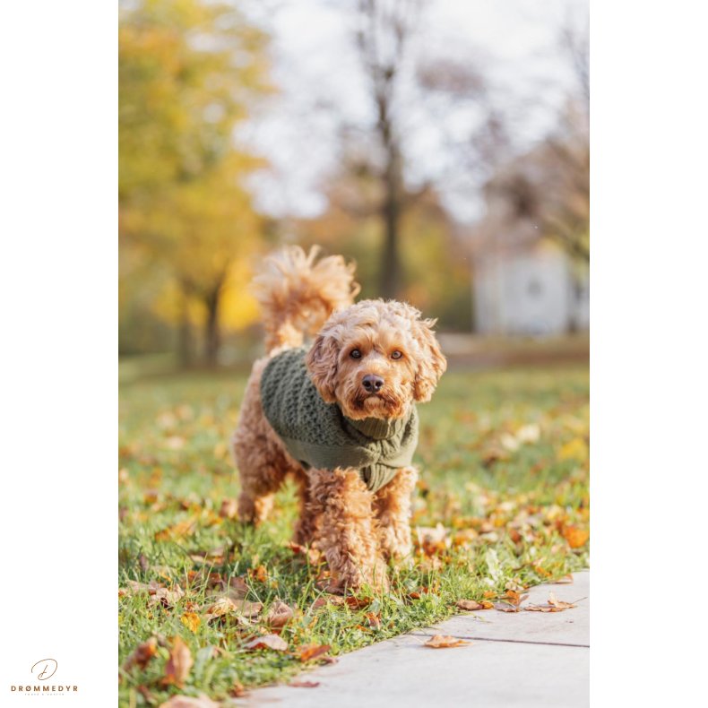 Norwood pullover, olive green.