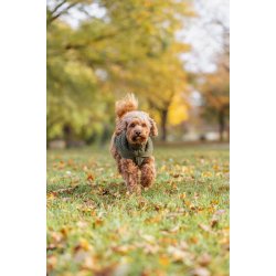 Norwood pullover, olive green.
