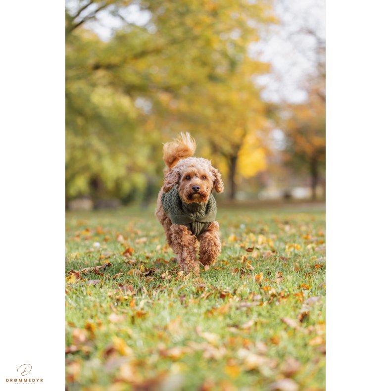 Norwood pullover, olive green.