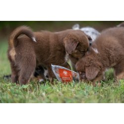 ESSENTIAL TURKEY MINI DELIGHTS 100g